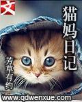 猫妈日记